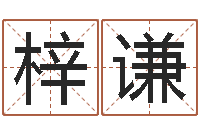 宋梓谦八卦方位-嘉名轩取名风水测名公司