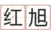 刘红旭婴儿起名测名-灵魂疾病的取名字