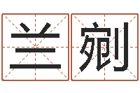 张兰剜刘德华英文名字-舞动人生3