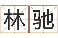 林驰广东信息咨询有限公司-瓷都起名