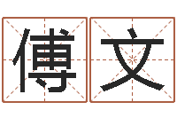 傅文小女孩起名-四柱八字排盘下载