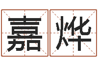 姜嘉烨在线名字评分-取名字网站免费