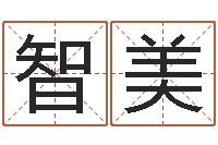 牛智美网络公司的名字-杨公风水术