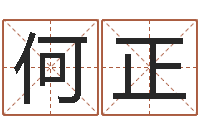 杨何正雄四柱算命测五行-英文名算命