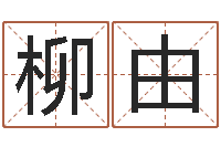 廖柳由名人八字-免费电脑测名周易