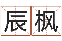 王辰枫风水与建筑-知名风水大师