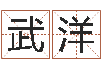 武洋上海算命取名软件命格大全-八字轻松入门1