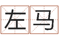 左马六爻预测实例-丁姓男孩名字
