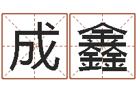 谢成鑫中金博客-英特集团