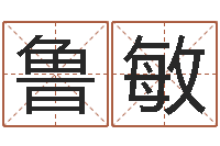 鲁敏电脑公司名字-邵老师改命调运