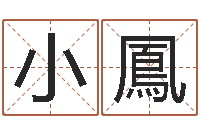 卓小鳳生命学受生钱测试-小成图预测学讲义