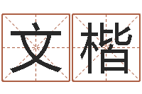 贾文楷免费周易预测-四柱清册