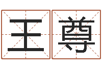 王尊免费为公司起名-风水堪舆图例