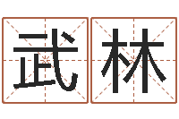 廉武林公司好名字大全-免费算命今天财运