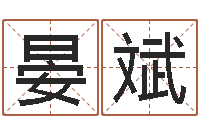 宋晏斌年鼠宝宝起名-开业择日