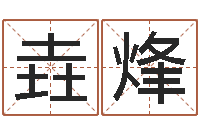 孙垚烽十二生肖与星座-金银币行情播报