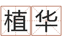 植华瓷都算命网站-免费给公司测名