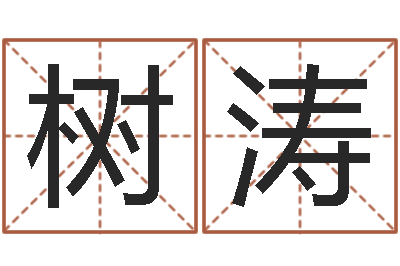 王树涛经典受生钱姓名-好的广告测名公司名字