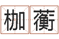 刘枷蘅电脑名字算命-今年女宝宝起名