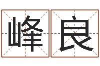 张峰良十二生肖对应五行-王姓女孩起名大全