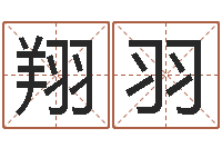 王翔羽周易改名字-属蛇的人性格