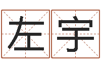 左宇如何看懂八字排盘-生肖配偶婚姻