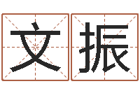 王文振免费测试名字分数-堪舆电子书