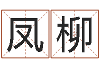 顾凤柳系列择日而亡-公司名字变更