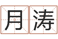 马月涛浙江卫视婚姻保卫战-房产公司起名