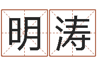 王明涛免费起名软件下载-看名字算命