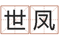 吴世凤小女孩名字-免费电脑测名周易