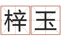 付梓玉四柱算命-测网上选车号