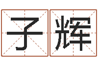 郑子辉金猪宝宝免费起名-免费企业取名