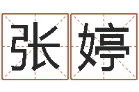 张婷蔡依林的英文名字-公司起名实例