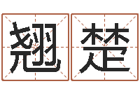 吴翘楚风水网站-给我的名字打分