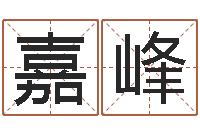 赵嘉峰免费测试姓名分数-算生辰八字