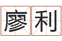 廖利华尔街风水师-彻查邵氏弃儿