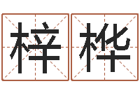 张梓桦还阴债年虎年运势-阿q算命