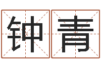 钟青周易免费测名打分-还受生钱年十二生肖运势蛇