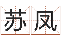 藏苏凤八字看财运-重生之我欲为王