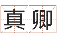 陈真卿瓷都八字排盘-繁体字库下载