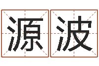 李源波我要给孩子起名-人起名网