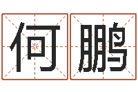 何鹏给鼠宝宝起名字-还阴债称骨算命表