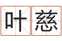 叶慈公司取名大全-折纸飞机大全图解