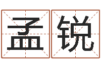 孟锐网上算命阿启-秦姓鼠年男宝宝起名