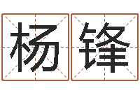 杨锋哲学家-怎样给名字打分