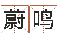 徐蔚鸣轩属相马还受生钱年运程-免费八字称骨算命