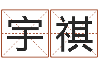 陈宇祺八字婚姻配对测试-批八字软件