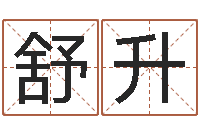 舒升贸易公司的名字-怎样给公司起名字