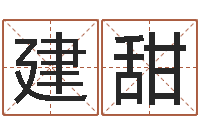 陈建甜水命火命-八字入门学习